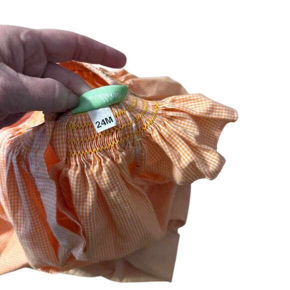 Be Mine Smocked Orange Gingham Toddler dress turtle Button Closure 24 months - Picture 4 of 4